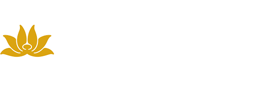 LOGO Vietnam Airlines